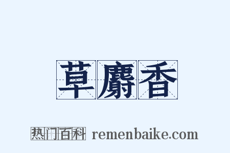 草麝香是什么意思的图片